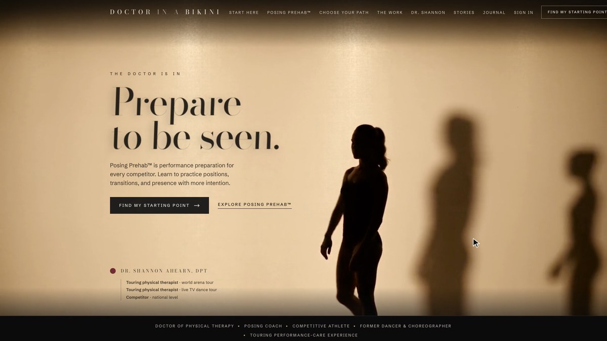 The Shadow Wall homepage: Prepare to be seen, with human shadows on a lit wall